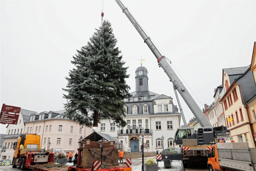 Schwarzenberger Weihnachtsmarkt: Der Baum ist da! - 11 Uhr hing er am Kranhaken.