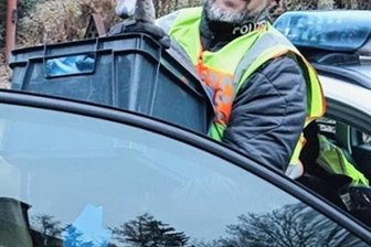 Schwarzer Schwan von A 72 gerettet -