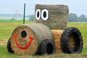 Schwein gehabt: Strohfiguren werben für Landeserntedankfest in Mittweida - Strohfiguren werben für das Landeserntedankfest in Mittweida, hier mit dem Wasserturm im Hintergrund.