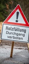 Schwere Maschinen räumen den Wald auf - Die Verbindungsstraße K 7754 zwischen den beiden Ortsteilen Augustusburg und Hennersdorf bleibt bis zum heutigen Freitag wegen Holzfällung gesperrt.
