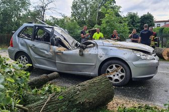 Schwerer Hagelsturm über Plauen: Baum kracht auf Auto - Frau eingeklemmt - Ein Baum krachte auf dieses Auto. Eine Frau wurde darin eingeklemmt, konnte aber befreit und ins Krankenhaus gebracht werden.