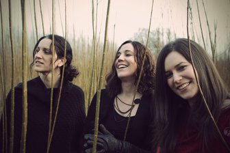 Schwestern-Trio „The Henry Girls“ bringt den wilden Nordwind Irlands nach Lichtentanne - „The Henry Girls“ spielen am Dienstagabend im Kulturzentrum St. Barbara Lichtentanne.