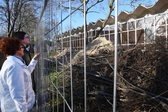 Schwimmhalle Gablenz: Wiedereröffnung verzögert sich -