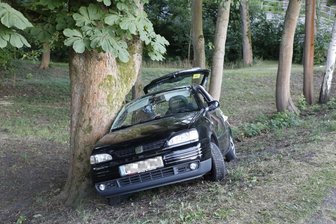 Seat kollidiert mit Baum -