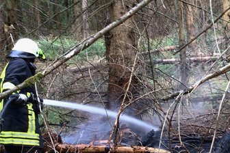 Sechs Brände in zwei Wochen im Westerzgebirge: Polizei sucht nach Brandstifter - Der jüngste Brand ereignete sich in Carlsfeld am Donnerstag am Teichhäuslweg. Hier waren die Feuerwehren aus Carlsfeld, Eibenstock, Schönheide und Sosa im Einsatz. 