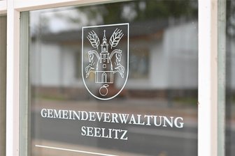 Seelitz hat gewählt: Diese Frauen und Männer sitzen künftig im Gemeinderat - Die Seelitzer haben entschieden, wer ab August im Gemeinderat sitzen wird und damit regelmäßig mit t Thomas Oertel und der Gemeindeverwaltung zusammenkommt.
