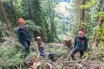 Seilbahn mitten im Erzgebirgswald: Technik im XXL-Format kommt für Holzeinschlag zum Einsatz - Forstbezirksleiter Johannes Riedel (links) und Revierförster Thomas Poschen stehen ganz oben am Hang oberhalb der Bundesstraße 283 zwischen Wolfsgrün und Albernau, auf dem aktuell gearbeitet wird.