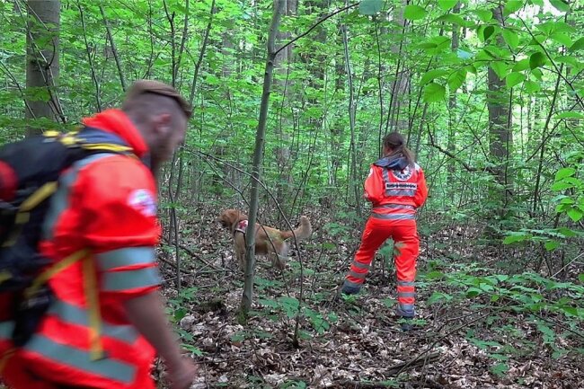 Seit einer Woche vermisst: Die Spur von Wilma B. führt nach Oederan - Im Zeisigwald waren 17 Rettungshunde-Teams aus ganz Sachsen mit insgesamt 12 Rettungshunden unterwegs. Sie durchkämmten den ganzen Wald auf der Suche nach der Patientin aus dem Klinikum Chemnitz. 