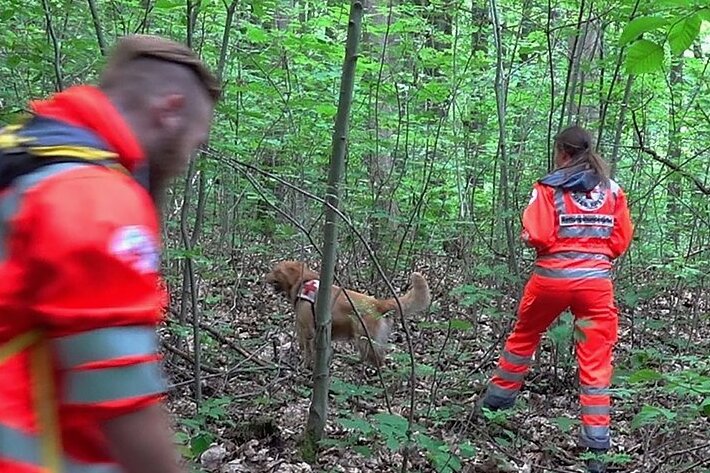 Seit einer Woche vermisst: Die Spur von Wilma B. führt nach Oederan - Im Zeisigwald waren 17 Rettungshunde-Teams aus ganz Sachsen mit insgesamt 12 Rettungshunden unterwegs. Sie durchkämmten den ganzen Wald auf der Suche nach der Patientin aus dem Klinikum Chemnitz. 
