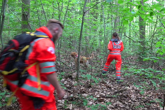 Seit fünf Wochen vermisst: Polizei sucht bundesweit nach Wilma B. - 