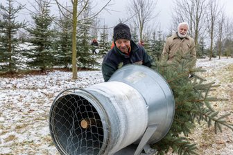 Selber sägen liegt im Trend: Warum diese Vogtländer ihren Weihnachtsbaum nicht im Baumarkt kaufen - Revierförster Andreas Schuster verpackte die frisch geschlagenen Bäume.