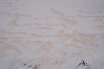 Seltene Überraschung: Wüstenstaub verursacht Blutschnee in Sachsen - Den sogenannten Blutschnee gab es auch bei Olbernhau im Erzgebirge zu sehen.