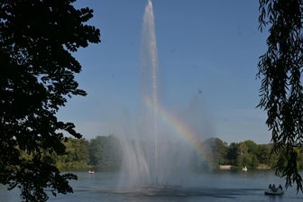 Seltener Mittelspecht verhindert Umbau der Fontäne im Zwickauer Schwanenteich - Die Fontäne am Schwanenteich wird vorerst mit der alten Technik sprudeln.