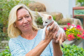 Seltener Nachwuchs bei den Wüstenfüchsen im Zoo der Minis - Gestatten? Filou heißt der kleine Fennek, der am Mittwoch im Auer Zoo der Minis der Öffentlichkeit präsentiert wurde.