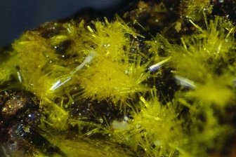 Seltenes Mineral "Yingjiangit" ist Star bei Schau in Oelsnitz - Der Yingjiangit aus Tirpersdorf ist in Oelsnitz zu sehen.