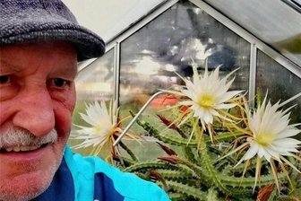 Seltenes Schauspiel: In Glauchau blüht die „Königin der Nacht“ - Andreas Schneider präsentiert seine blühende "Königin der Nacht".