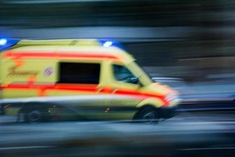 Senior bei Baumfällarbeiten schwer verletzt -