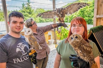 „Senior“-Turmfalke Moritz hilft beim Füttern der Jungfalken und unterstützt die Falkner-Familie Neubert in Großrückerswalde - Luis Neubert mit Schleiereule Ignatz, Jacqueline Neubert mit Virginia-Uhu Nala und Luisa Neubert mit Waldkauz Frodo (v.l.): Die Zuchttiere kommen bei der Öffentlichkeitsarbeit zum Einsatz.