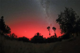 Sensationsfoto: Erzgebirger gelingt Aufnahme eines Polarlichts über Palmen - Dem Drebacher Planetariumsleiter Jens Kandler gelang in Namibia eine Polarlicht-Aufnahme über Palmen.