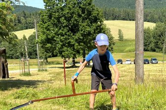 Sensen, Kräuter, Gaumenfreuden: So vielfältig war der Bergwiesensommer auf dem Riedelhof - Felix Rahmig beim Mähen mit der Sense. Der Achtjährige erhielt als jüngster Teilnehmer einen Sonderpreis.
