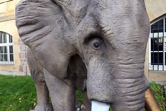 Sensible Momente und ein Elefant im Raum: Kunstsammlungen Chemnitz zeigen Frank Maibier - „Elefant im Raum“ haben Andreas Winkler und Frank Maibier ihre aktuelle Kunstaktion genannt, auch wenn der Elefant aus Platzgründen nicht in, sondern drei Tage lang vor den Kunstsammlungen Chemnitz steht.