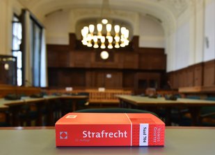 Sextäter mit fataler Vorgeschichte -