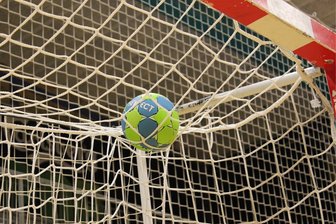 SG Handball Oberland feiert Pokalerfolge - Symbolbild: Pixabay