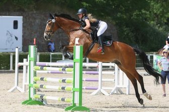Sicher im Sattel zur silbernen Schleife - Frances Schirmer sprang auf Careteas zum 2. Platz bei den Sächsischen Jugendmeisterschaften in Moritzburg.
