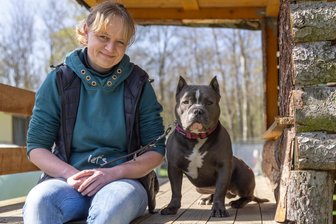 Sie kamen als Notfälle: Tierheim im Erzgebirge hofft auf Chance für Hugo, Yakari und Orell - Seine Familie hat Hugo wegen Überforderung im Tierheim „Neu-Amerika“ abgegeben. Nun suchen Leiterin Peggy Kreher und ihr Team erfahrene Besitzer für den jungen American Bully.