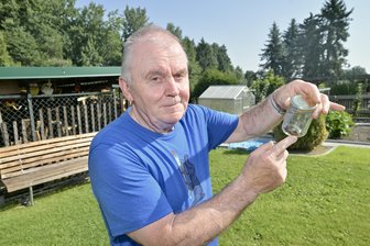 Sie kommen zu Hunderten bei Einbruch der Dunkelheit: Dorf bei Zwickau leidet unter Käferplage - Lutz Dietzel hat Käfer gefangen, damit ein Experte bestimmen kann, um welche Art es sich handelt.