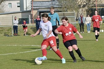 Sieben auf einen Streich: Fußballerinnen des DFC Westsachsen Zwickau in Torlaune - Daniela Mittag (links) hatte mit vier Toren maßgeblichen Anteil am Heimsieg des DFC Westsachsen Zwickau gegen Leipzig.