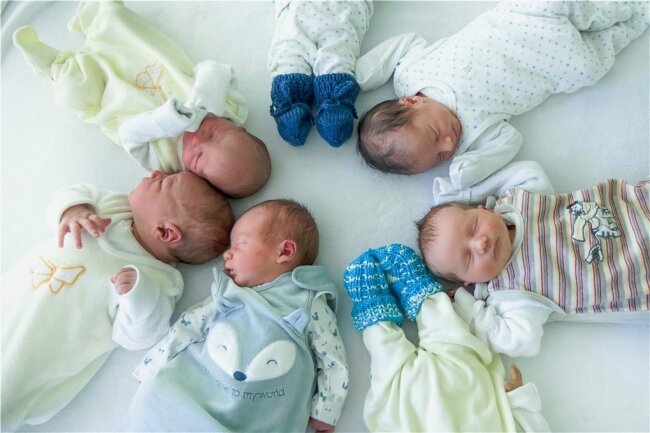 Sieben Babys an einem Tag: Krankenhaus in Aue erlebt Kindersegen - Am Dienstag sind in Aue gleich sieben Kinder zur Welt gekommen. Auf dem Bild zu sehen sind fünf davon: Florian, Bruno, Paul, Ali und Kuno. 