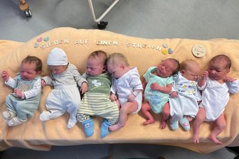 Sieben Babys auf einen Streich: Klinikum Mittweida begrüßt so viele Babys wie selten am selben Tag - Sieben Kinder wurden jetzt an einem Tag im Krankenhaus Mittweida geboren.