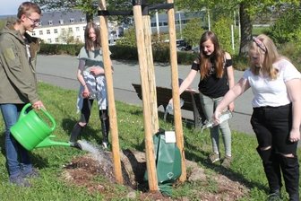 Siebtklässler übernehmen Gieß-Patenschaft am Bärenstein - Thomas, Amelie, Luise und Evangeline (von links) beim Angießen der Amerikanischen Roteiche. Für insgesamt drei Bäume rund um den Bärenstein hat die Klasse 7a der Rückert-Oberschule eine Baumpflegepatenschaft übernommen.