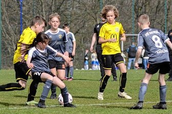 Sieger aus der Hauptstadt - Um jeden Ball gekämpft wurde beim Cordial Cup auf dem Auerbacher Diesterwegsportplatz - so wie im Duell zwischen dem VFC Plauen (in Gelb-Schwarz) gegen den VfB Auerbach II (3:0).