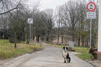 Silberstraße: Umstrittener Waldweg soll künftig wieder als öffentliche Ortsstraße geführt werden - Der Waldweg war Gegenstand eines Wegerechtsstreites. Jetzt will die Verwaltung Klarheit schaffen.