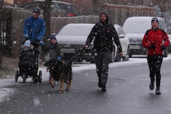 Silvesterlauf in Oelsnitz: Mit Hund und Kinderwagen durch den Flockenwirbel - Oelsnitzer Silvesterlauf pur: Mit Hund und Kind im Flockenwirbel.