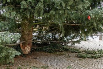 Silvesternacht im Erzgebirge: Verstöße gegen Corona-Verordnung und Böllerverbot - Auf dem Marktplatz in Zwönitz ist in der Silvesternacht trotz Verbotes auf öffentlichen Plätzen geböllert worden. Dabei wurde auch der Weihnachtsbaum in Mitleidenschaft gezogen. Unbekannte hatten am Stamm des Baumes einen Böller gezündet. Ein Befestigungskeil wurde abgesprengt, die Beleuchtung abgerissen. 