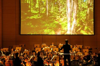 Sinfoniekonzert in der Chemnitzer Stadthalle: Romantik mit und ohne Bild - Mit stimmungsvollen, oft aber sehr klischeehaften Bildern illustrierte der Musiker und Fotograf Tobias Melle die hervorragende Interpretation der 6. Sinfonie von Ludwig van Beethoven beim 3. Sinfoniekonzert der Robert-Schumann-Philharmonie.