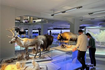 Single sein in Chemnitz: Wenn Daten zum Kulturevent wird - Gemeinsam erkundeten die "Kultur-Singles" 300.000 Jahre Menschheitsgeschichte im Smac.