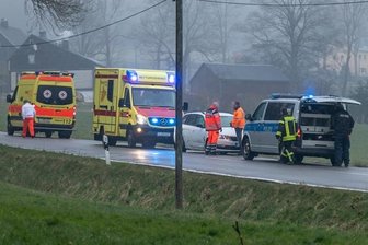 Skoda streift Baum auf S 260 -