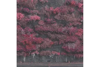 Sleep Token mit „Even in Arcadia“: Weit offen - „Even in Arcadia“ ist das neue Album von Sleep Token.