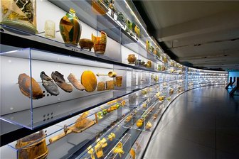 Smac gewinnt europäischen Museumspreis -
