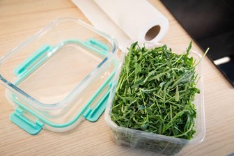 So bleibt Rucola länger frisch - Wie lässt sich Rucola länger haltbar machen?
