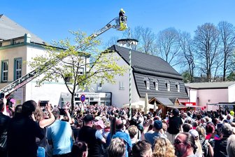 So feiern in Chemnitz die Reichenbrander ihren Maibaum - Der Reichenbrander Maibaum steht und die Feuerwehr hat über ihre Drehleiter den Kranz angebracht.