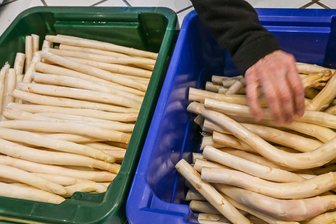 So günstig ist regionaler Spargel aktuell zu haben - Derzeit bekommen Verbraucher Spargel so günstig wie sonst nicht in der Saison. (Archivbild)