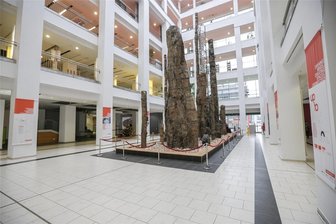 So haben Chemnitzer Bibliotheken zum Jahreswechsel geöffnet - Die Zentralbibliothek im Chemnitzer Tietz hat am 24., 25. und 26. sowie am 31. Dezember und 1. Januar geschlossen.