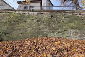 So knifflig wird die Sanierung der Adorfer Stadtmauer - Ein Blick auf die Stadtmauer hinter der St. Michaeliskirche in Adorf. Sie muss dringend saniert werden.