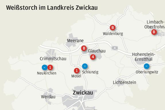 So viele Störche wie noch nie im Landkreis - 