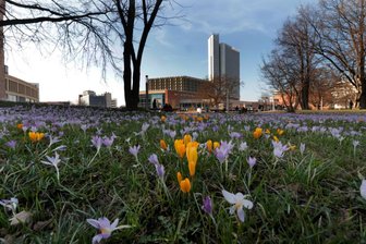 So war das erste Frühlingswochenende in Chemnitz - Kommende Woche wird es wohl wieder kälter. Am Wochenende zog es die Menschen bei warmem Wetter vor allem in die Messe, aber auch in die City.